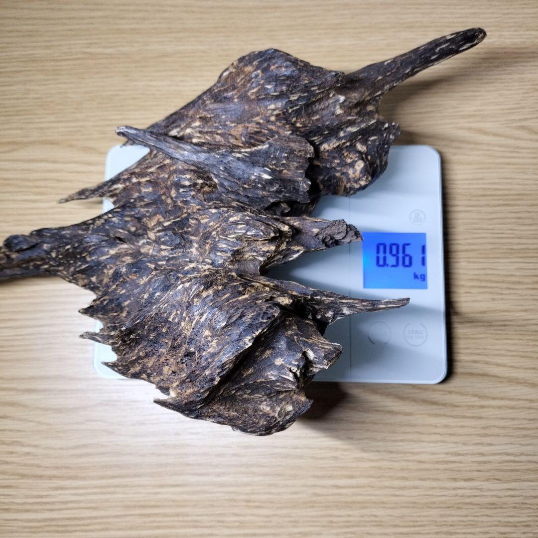 ベトナム産沈香