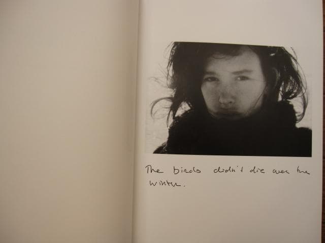 アート・デザイン・音楽 The Birds Didn't Die over the Winter