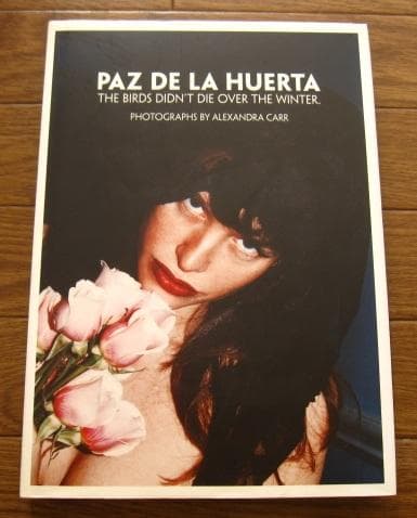 アート・デザイン・音楽 The Birds Didn't Die over the Winter