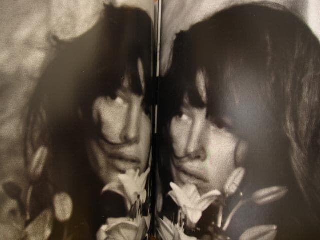 アート・デザイン・音楽 The Birds Didn't Die over the Winter