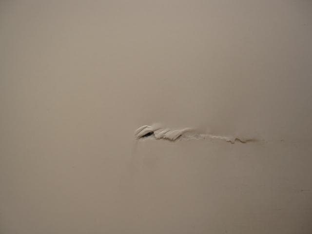 アート・デザイン・音楽 The Birds Didn't Die over the Winter