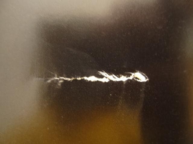 アート・デザイン・音楽 The Birds Didn't Die over the Winter