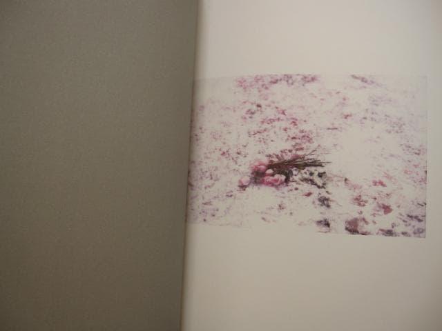 アート・デザイン・音楽 The Birds Didn't Die over the Winter