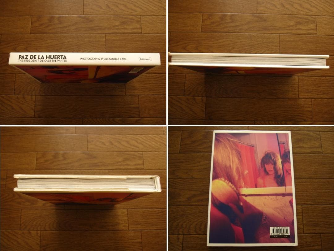 アート・デザイン・音楽 The Birds Didn't Die over the Winter