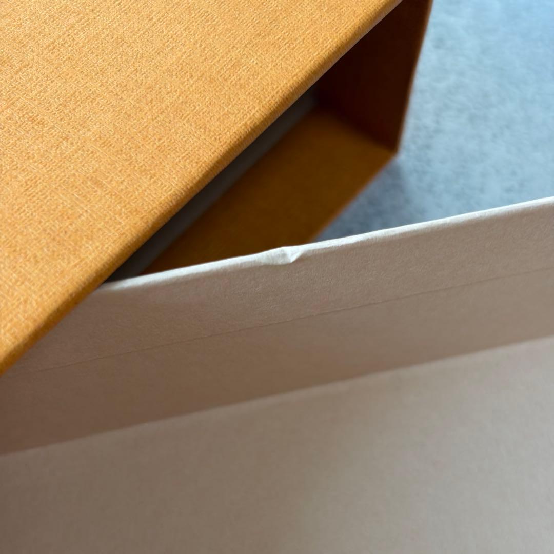 LOUIS VUITTON 日本限定 ポルトフォイユ・ルー 財布 シルバー