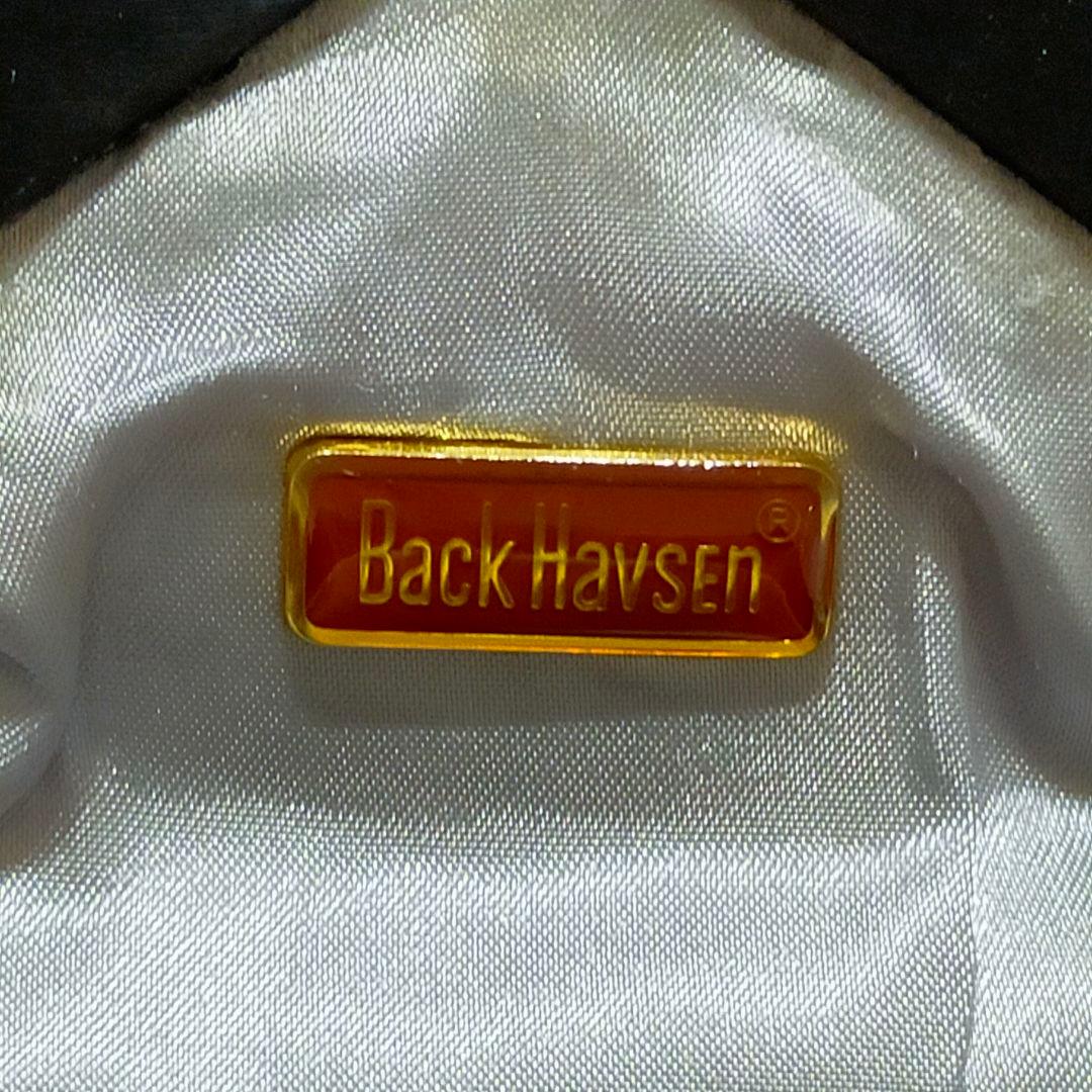 BACK HAVSEN バックハウゼン　ゴブラン織　ミニバッグ　パーティーバッグ