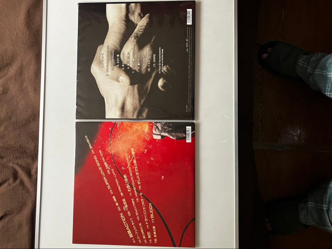 邦楽 B'z ACTION & Brotherhood