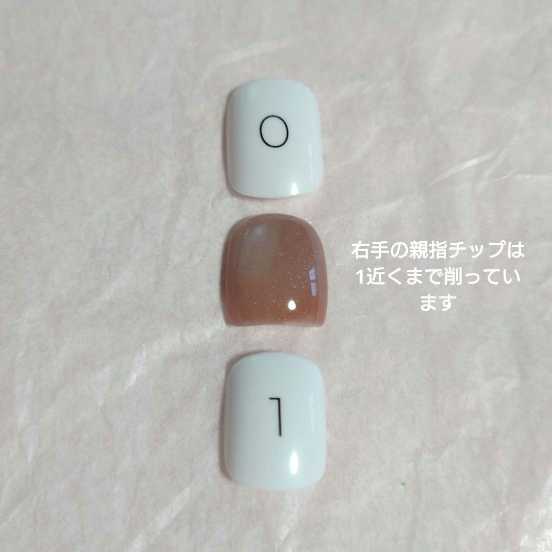 EVER NAIL エバーネイル Tulle Pink ネイルチップ