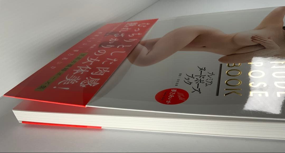 プレミアムヌードポーズブック　夢乃あいか