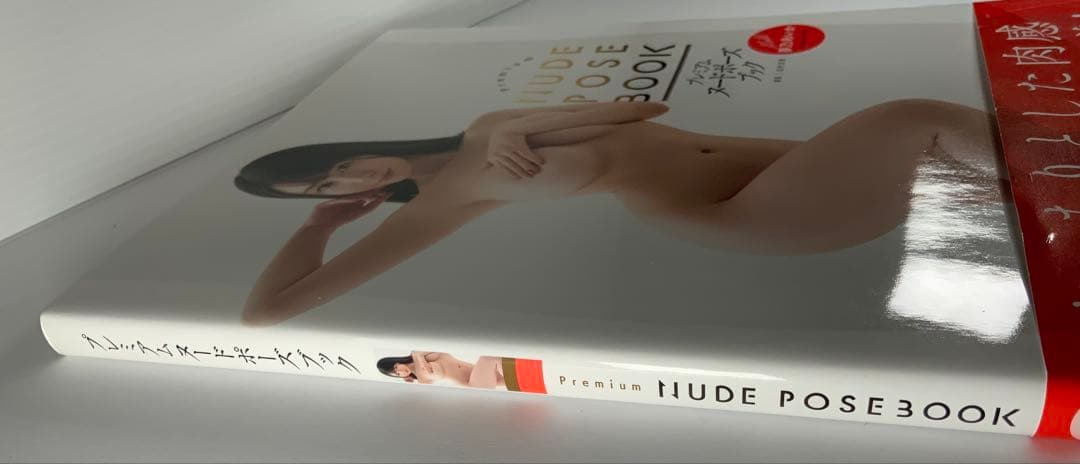 プレミアムヌードポーズブック　夢乃あいか