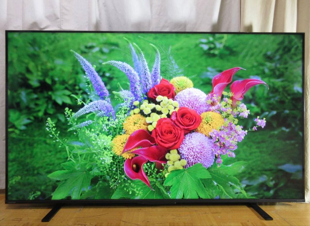 テレビREGZA 2021年製65インチ