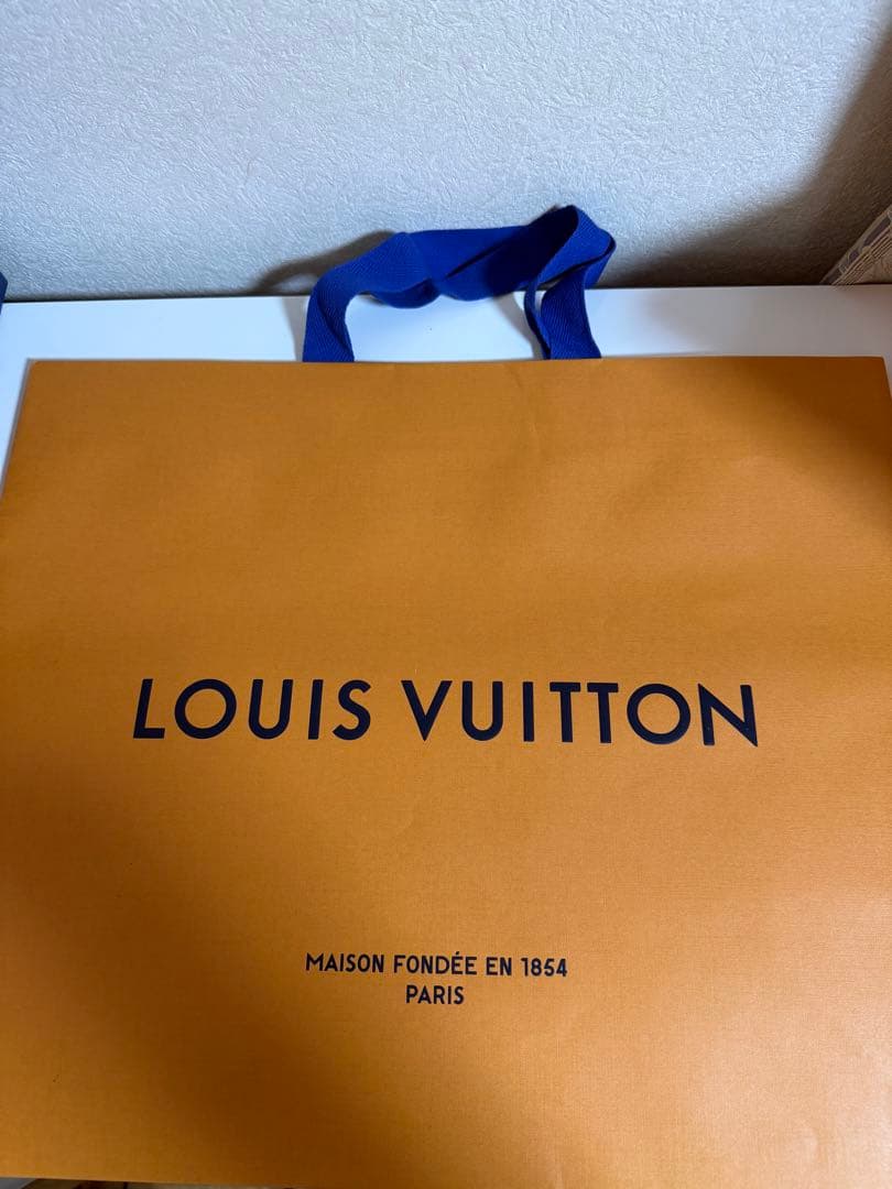 LOUIS VUITTON ポピライン・バレリーナ（フラット）