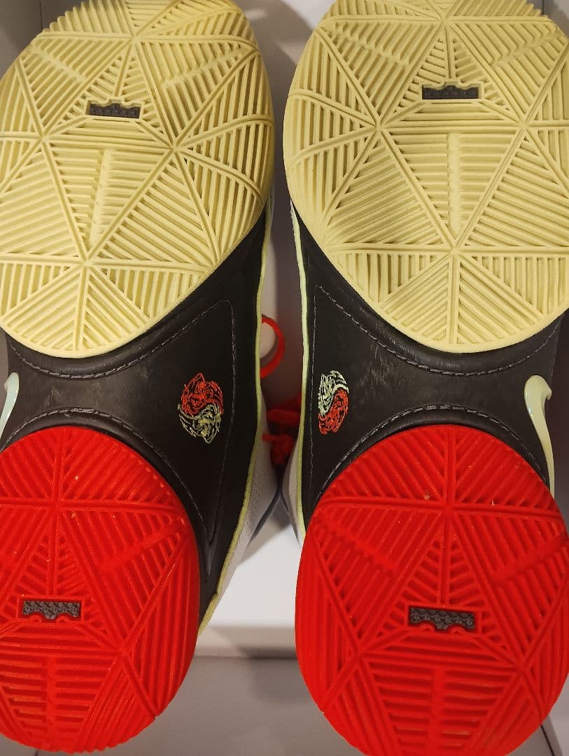 NIKE レブロン22　lebron22 kobe book