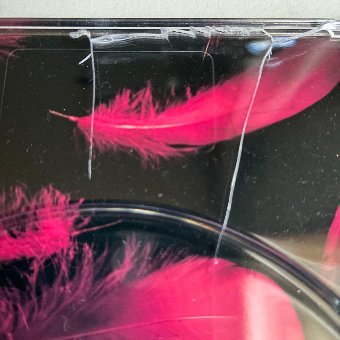 ミュージカル ロックオペラモーツァルトCD rouge 中川晃教モーツァルト