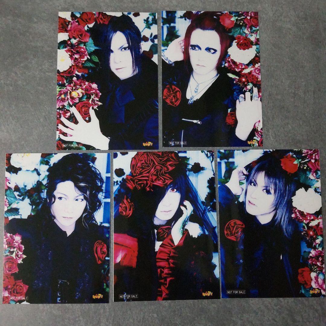 Dディー【初回盤2枚組DVD】PV 特典付き/ASAGI-浅葱/Ruiza-涙沙