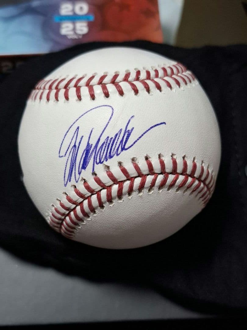 ぷ*ぁ様 ニューヨーク・ヤンキース 　ホルヘ・ポサダ 直筆サインボール