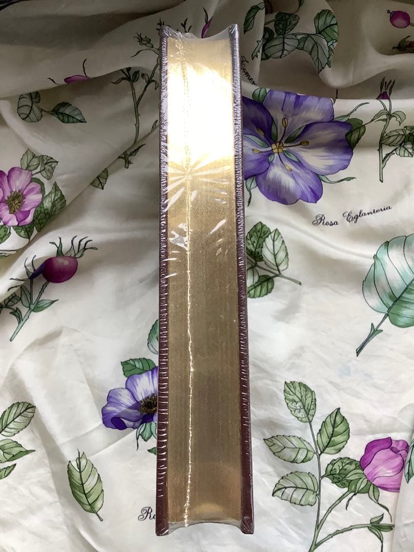 Huckleberry Finn Mark Twainハックルベリーフィンの冒険