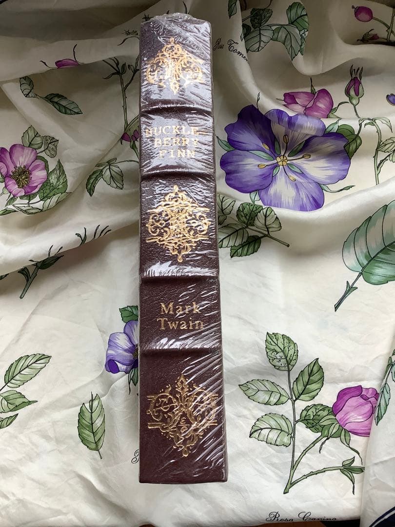 Huckleberry Finn Mark Twainハックルベリーフィンの冒険