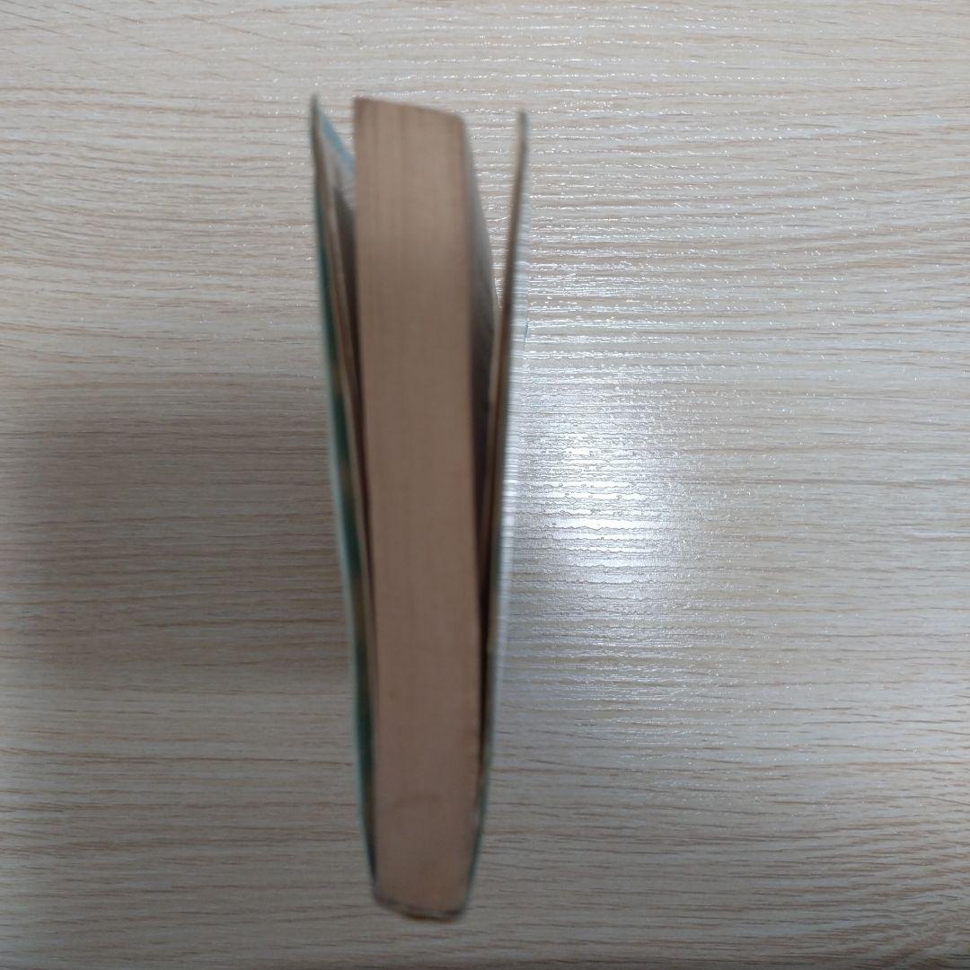 稀少本　霧のむこうのふしぎな町