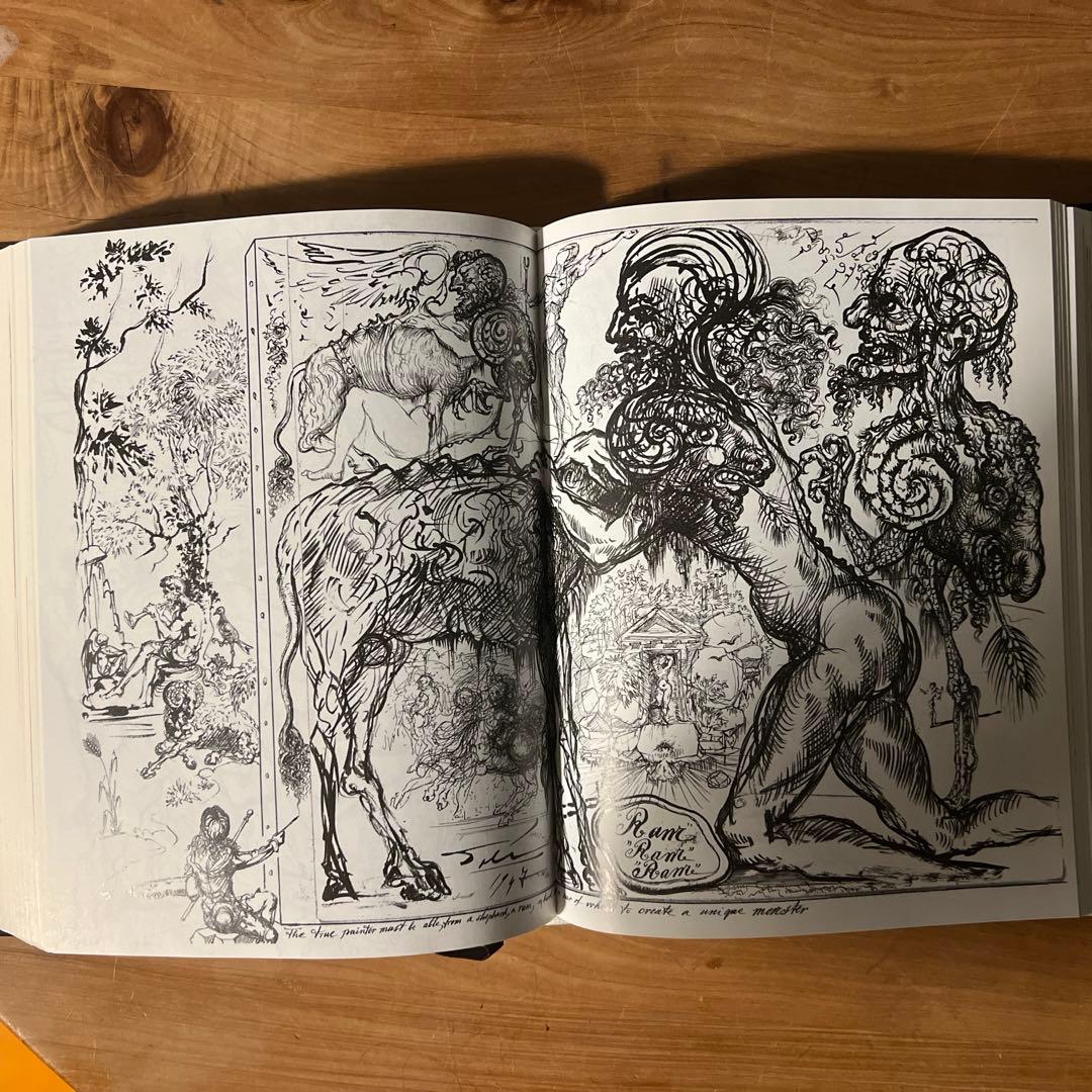 え*ん様 DALI【美品　洋書】