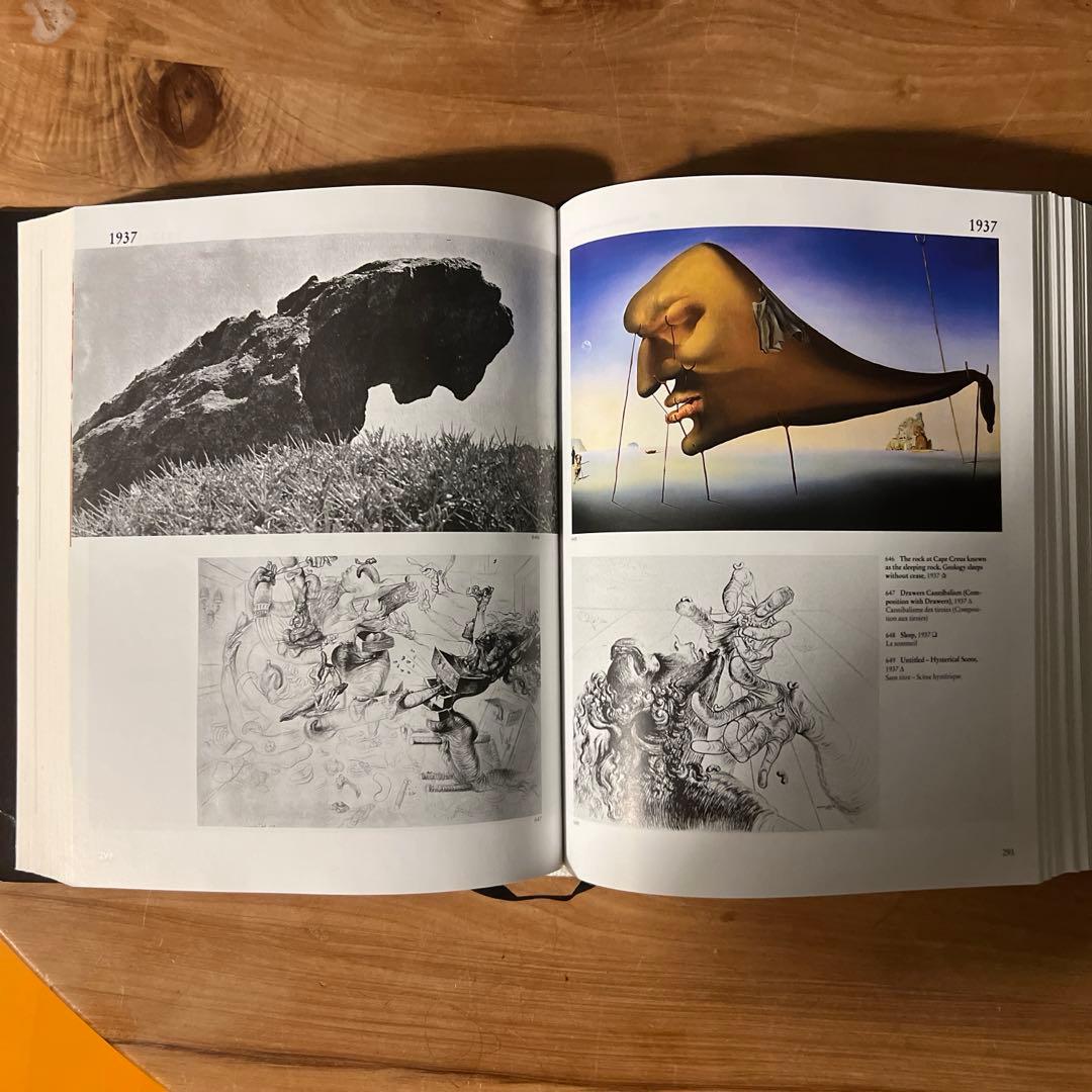 え*ん様 DALI【美品　洋書】