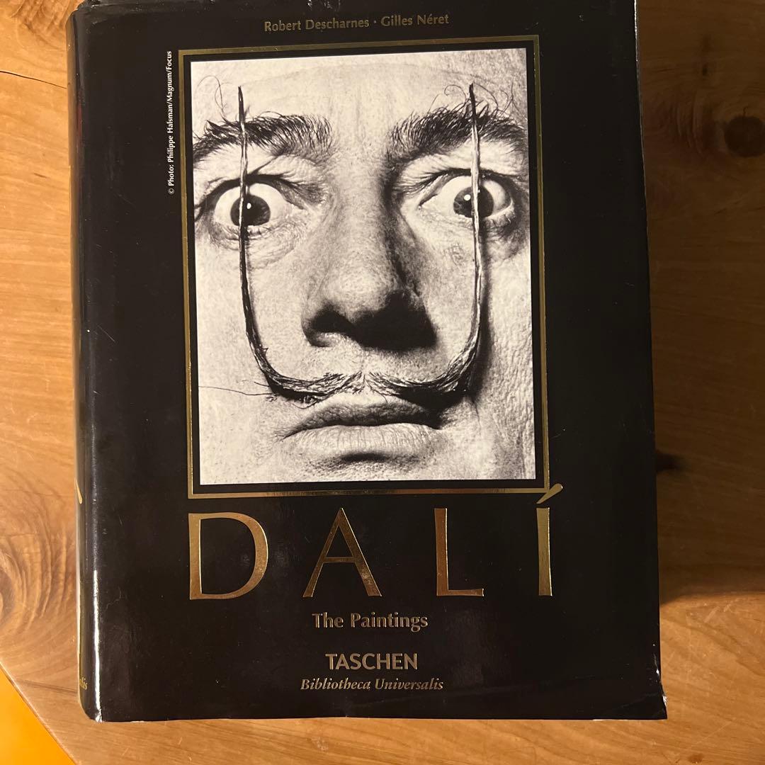え*ん様 DALI【美品　洋書】