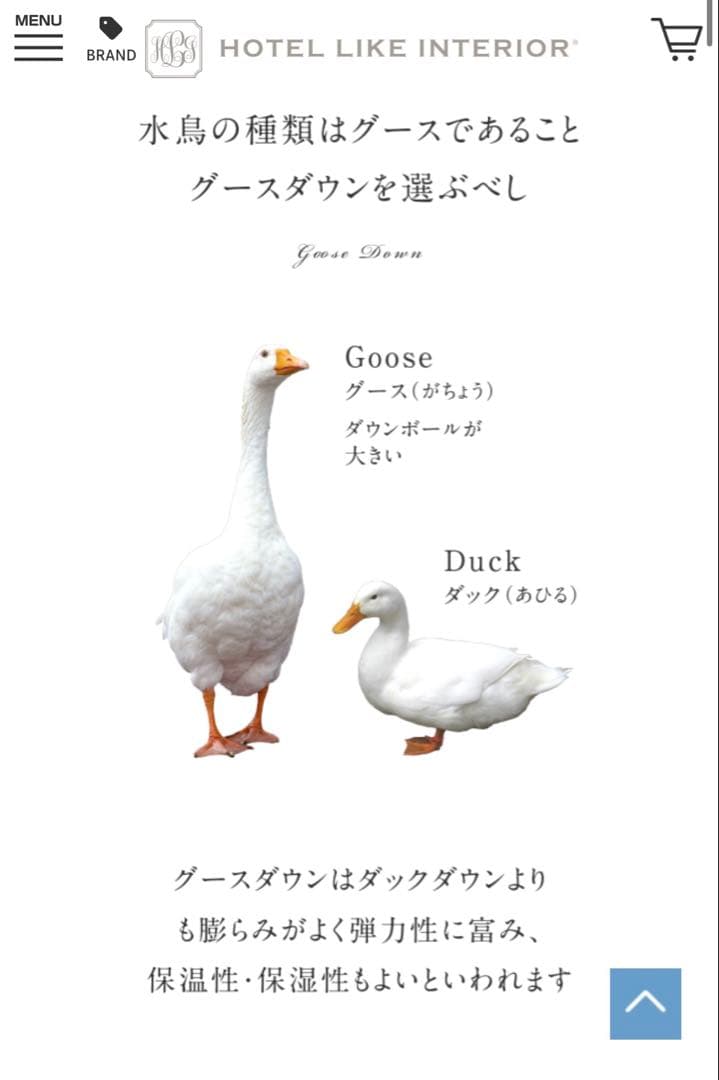 hotel like interior 羽毛布団 ダブル 元値25万　27日〆