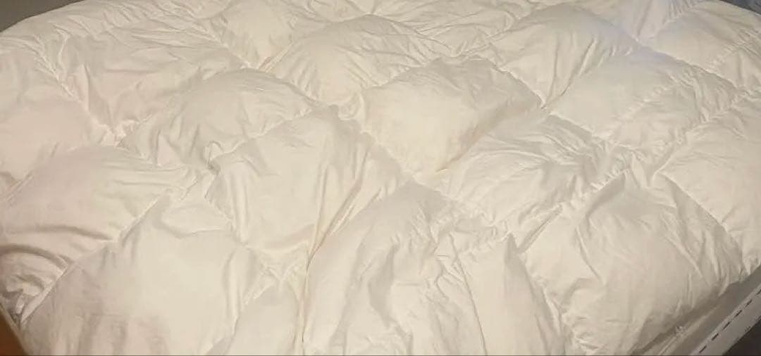hotel like interior 羽毛布団 ダブル 元値25万　27日〆