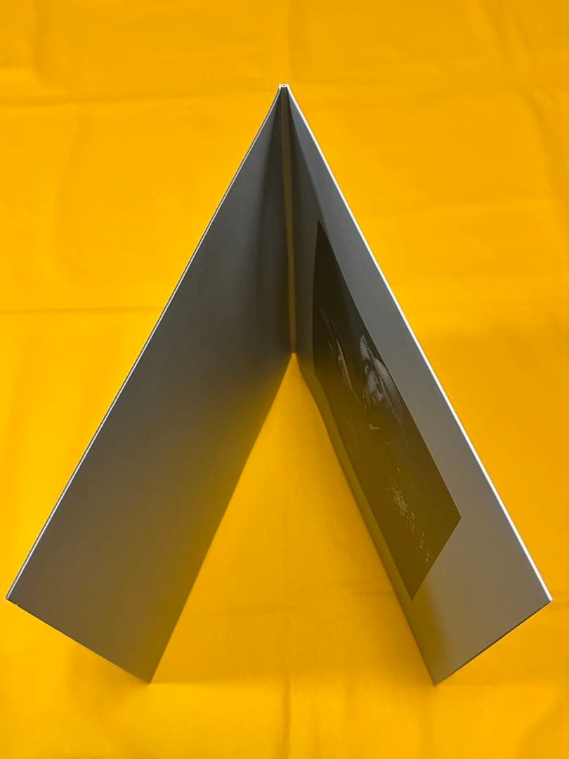 七尾旅人　リトルメロディ　アナログレコード