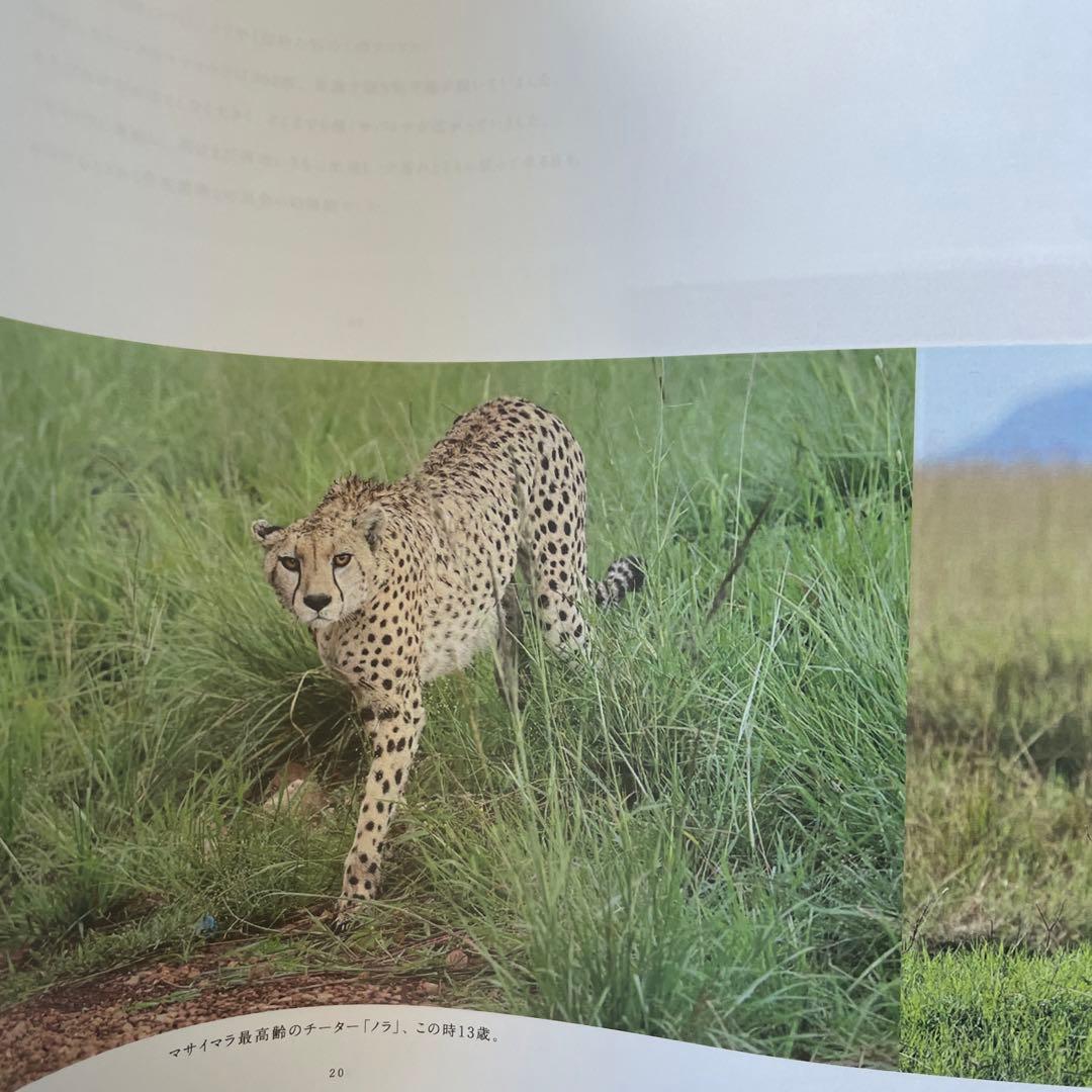 First Time in Africa 滝ゆみ 動物へのラブ