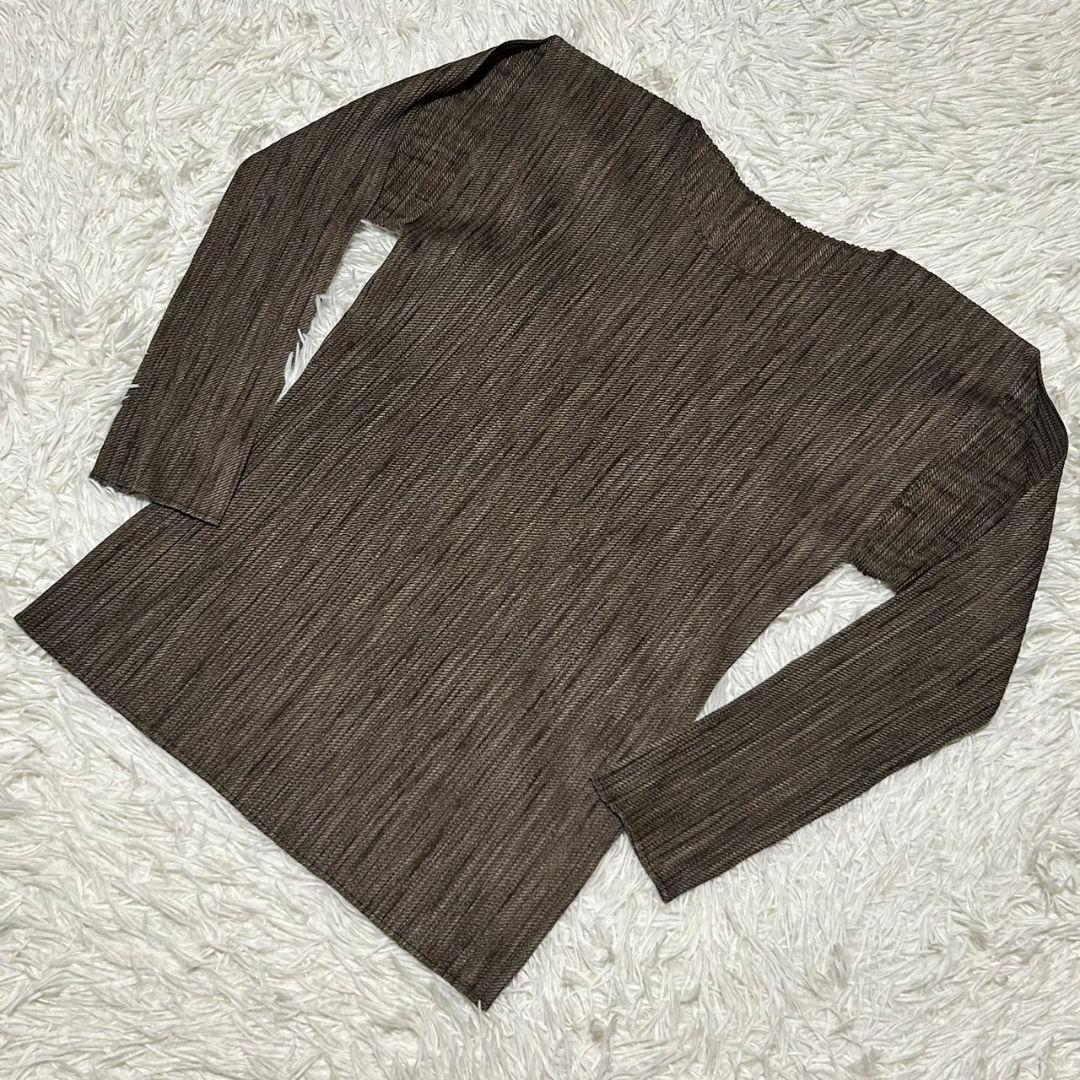 プリーツプリーズ PLEATS PLEASE 杉綾転写 長袖カットソー サイズ3