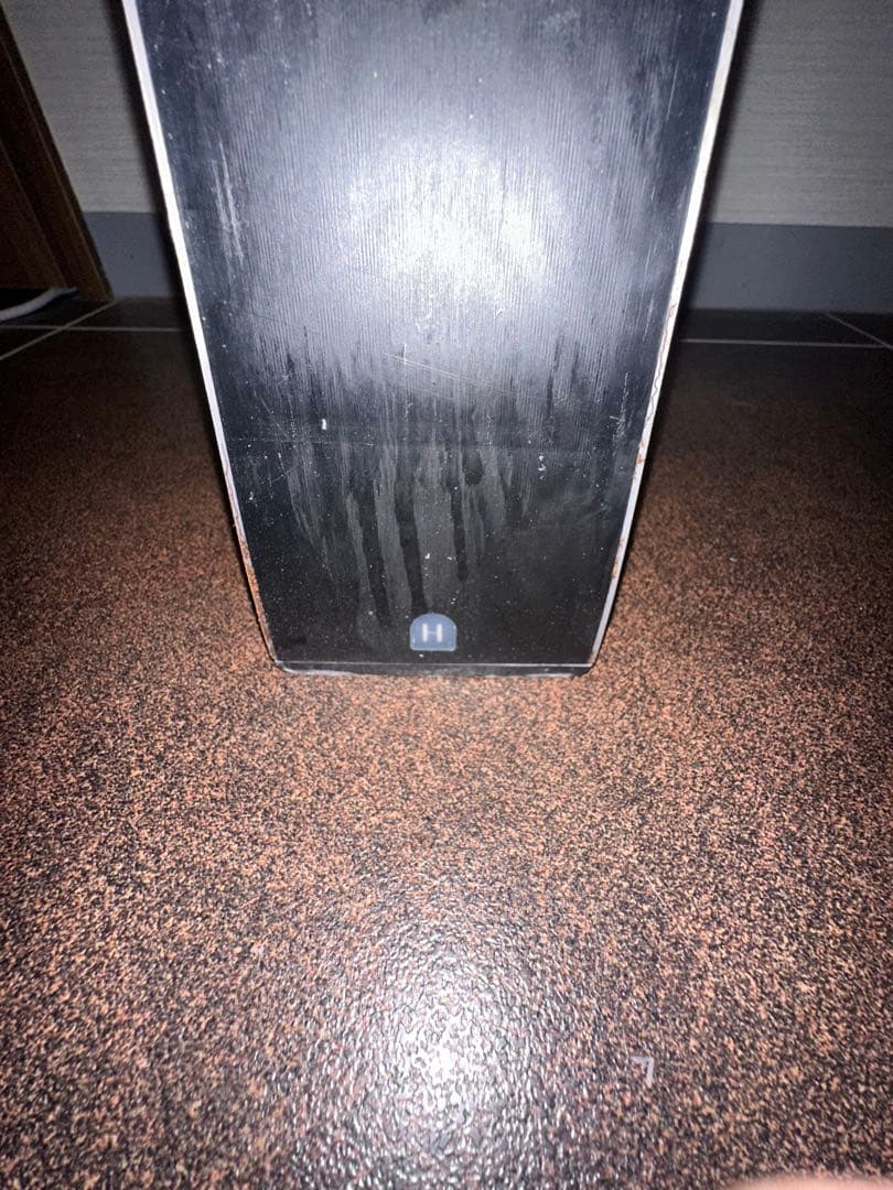 FIS SALOMON GS 193cm スキーワールドカップレベル板 (板だけ