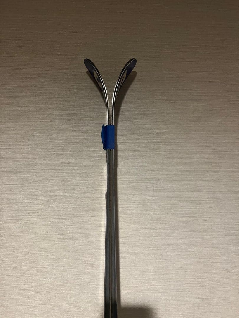 FIS SALOMON GS 193cm スキーワールドカップレベル板 (板だけ