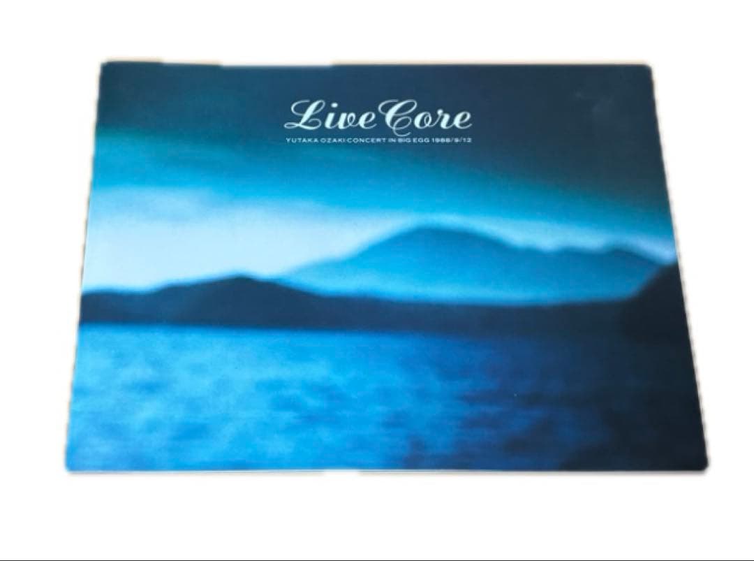 尾崎豊 レコード まとめ売り