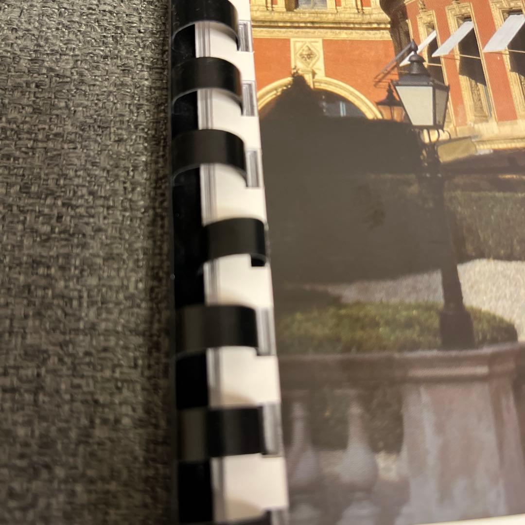 アート・デザイン・音楽 N.Medtner Knight Errant Op. 58 No. 2