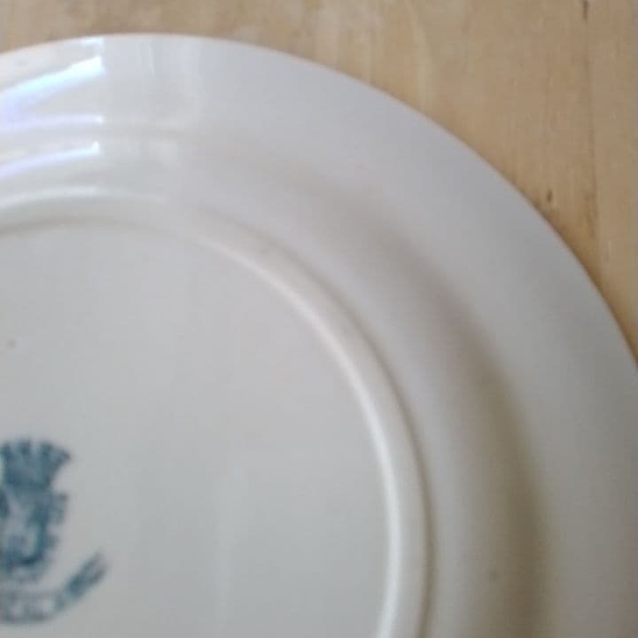 フランスアンティーク　ジアンFLORRAL　ディナー皿