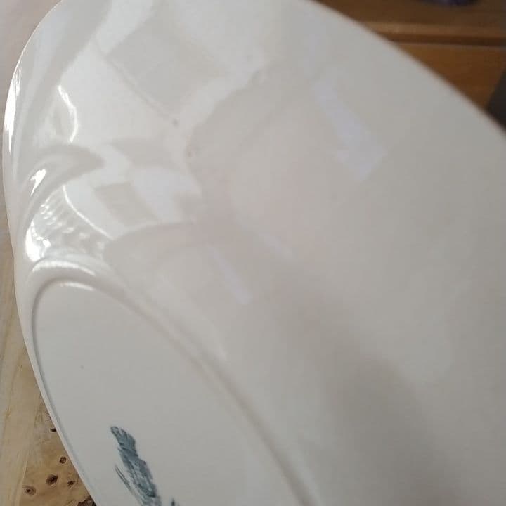 フランスアンティーク　ジアンFLORRAL　ディナー皿