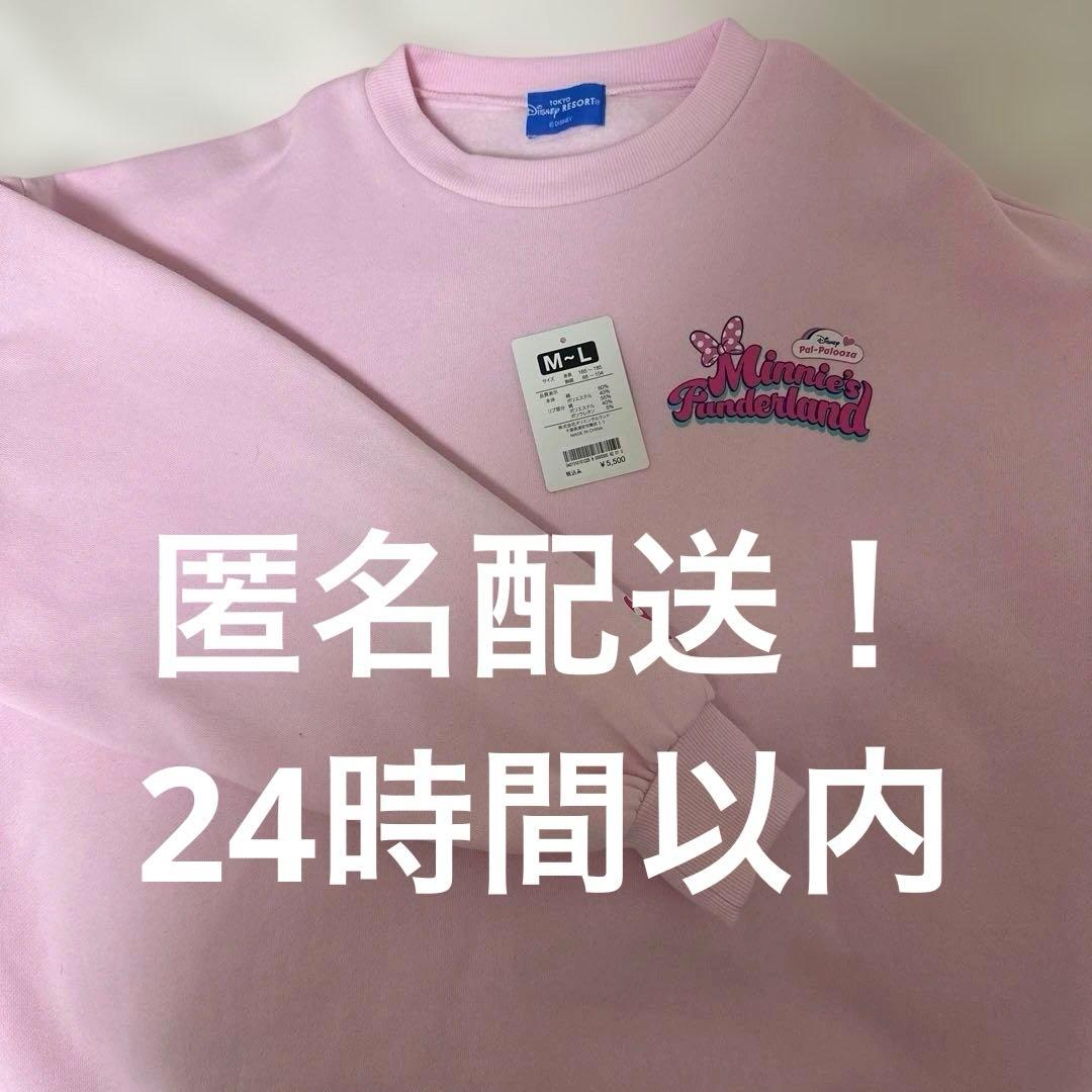 パルパルーザ　ミニーのファンダーランド トレーナー　スウェット