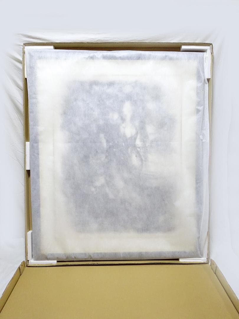 #天野喜孝 #吸血鬼 #版画 #リトグラフ #共箱 #アールビバン保証書