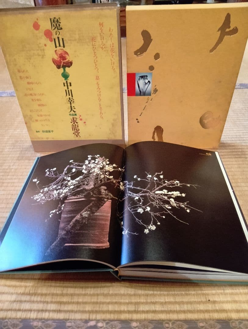 魔の山 中川美術 作品集