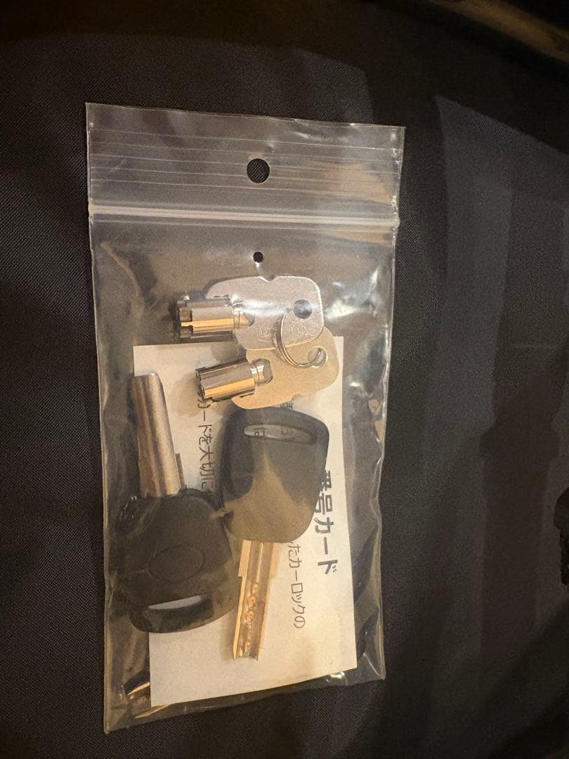 【写真追加しました】TOYOTA トヨタ 純正　カーロック　マックガード