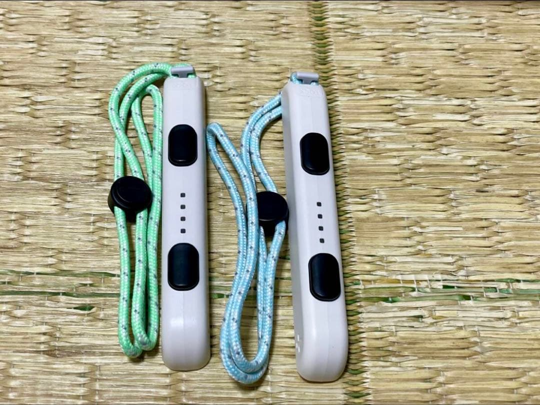 【最終値下げ！？】Nintendo Switch あつまれどうぶつの森セット