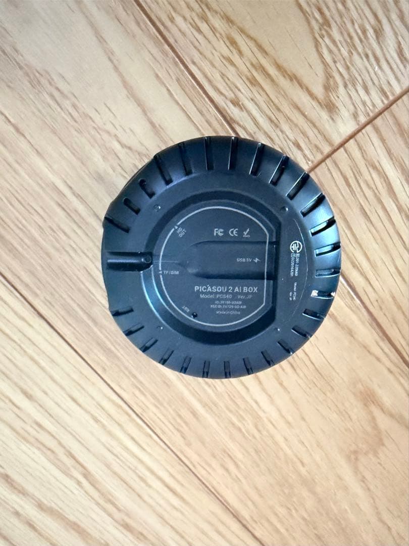 オットキャスト　Ottocast Picasou 2