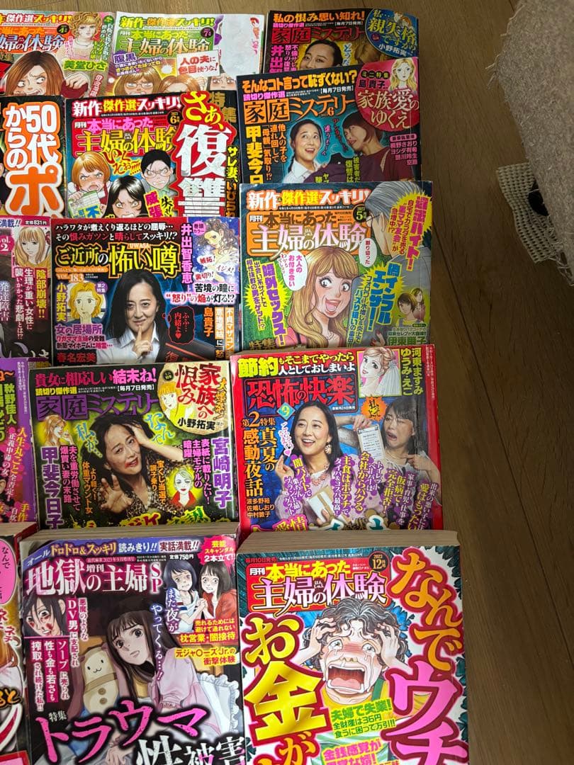 女性漫画コレクション 不倫体験談など レディコミ30冊セット