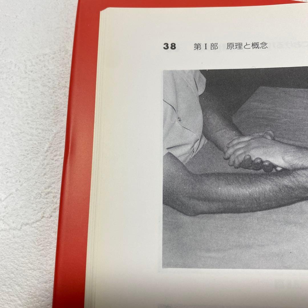 マニュアル・メディスンの原理 1995年2月22日　初版発行【レア】　送料無料