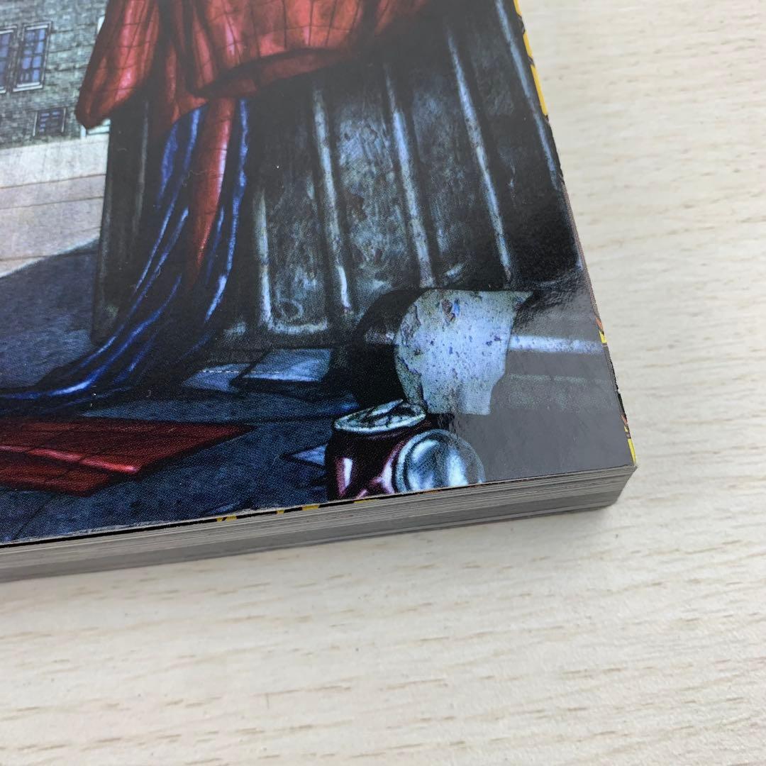 洋書 Friendly Neighborhood SPIDER-MAN