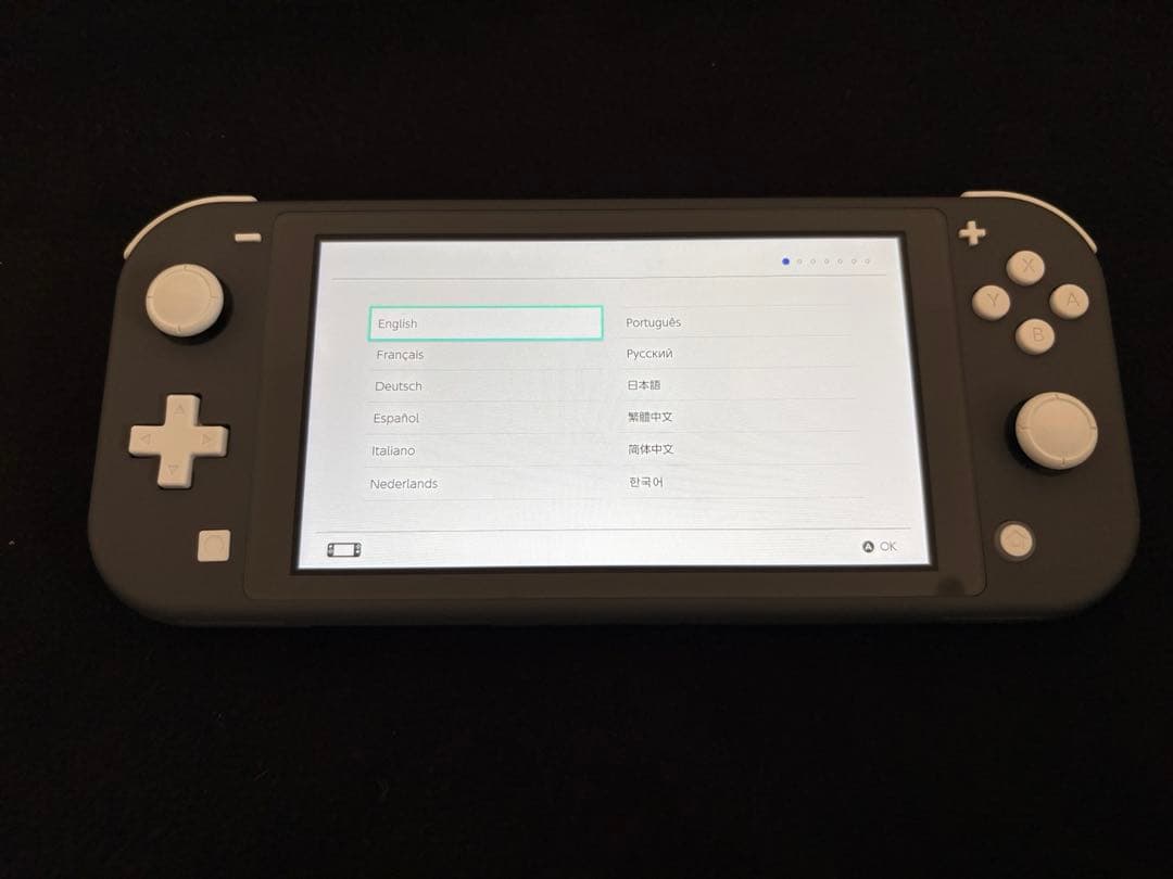 【箱・充電器付き】Nintendo Switch Lite グレー 本体