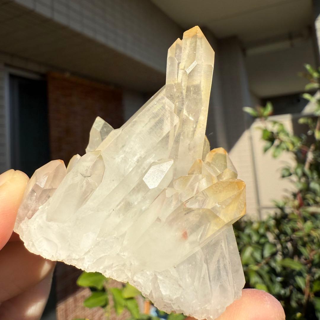 n.♡様　確認用