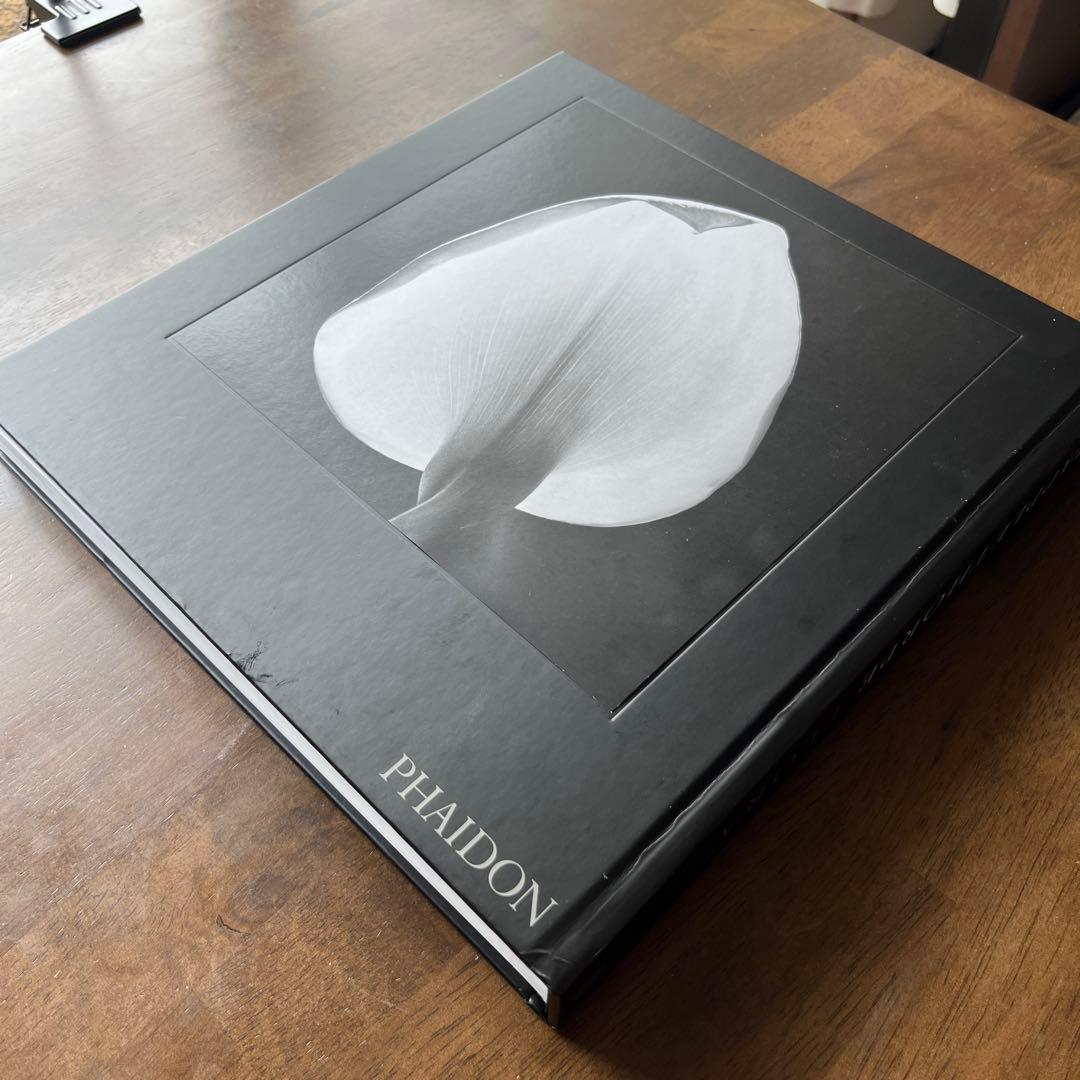 Robert Mapplethorpe / ロバート・メイプルソープ 花◆洋書