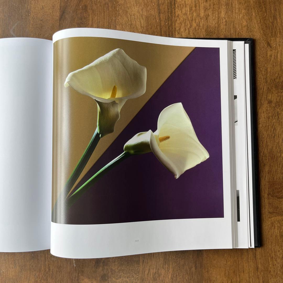 Robert Mapplethorpe / ロバート・メイプルソープ 花◆洋書